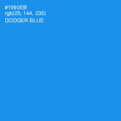 #1990EB - Dodger Blue Color Image